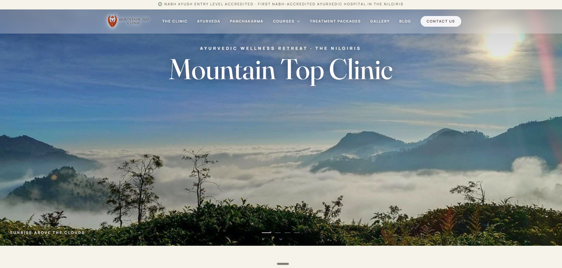 Mountain Top Clinic (Custom made) homepage